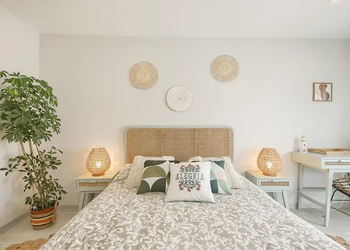 Sao Goncalinho Alegria By Home Sweet Home Aveiro